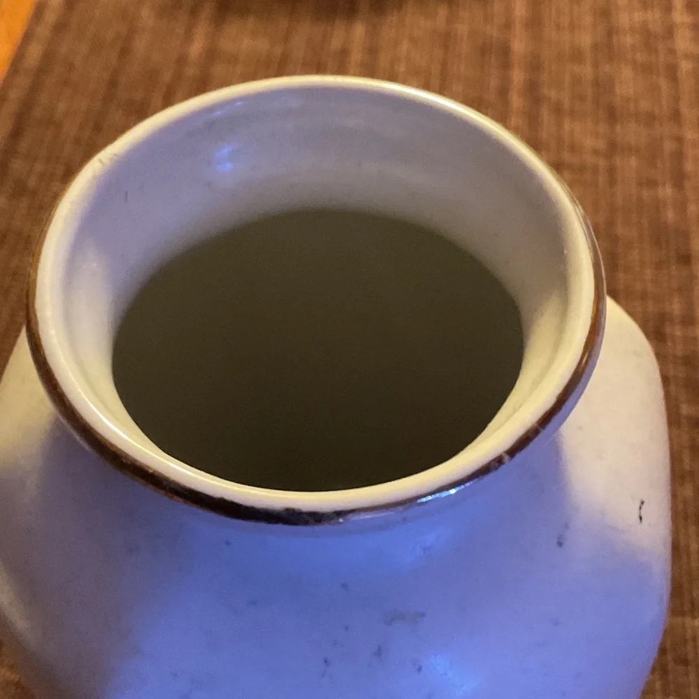 Elegant Floral Ceramic Vase